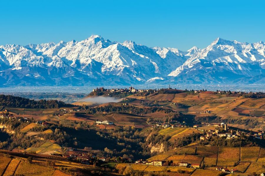 From Milan: Barolo Wine Tasting, Alba Tour and Castle Visit - Milan to Barolo in one day: what this trip gets right