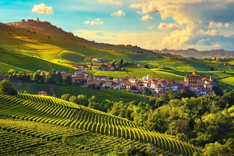 From Milan: Barolo Wine Tasting, Alba Tour and Castle Visit - Langhe wine tasting: family-run cellar time and what you should expect to taste