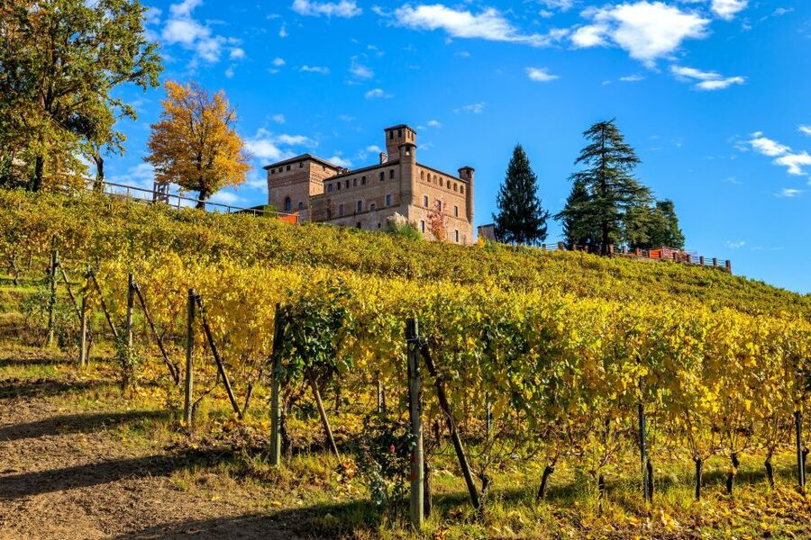 From Milan: Barolo Wine Tasting, Alba Tour and Castle Visit - Alba walking tour: truffles, medieval streets, and time to graze like a local