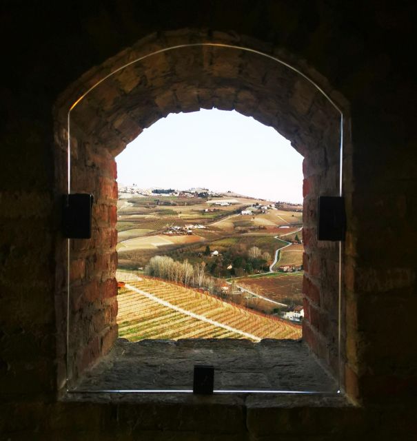 From Milan: Barolo Wine Tasting, Alba Tour and Castle Visit - The castle visit: why the hilltop viewpoints are more than a photo break