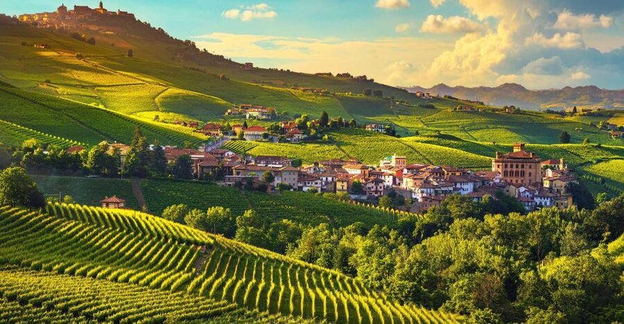 From Milan: Barolo Wine Tasting, Alba Tour and Castle Visit - Where you meet in Milan, and how to avoid first-day stress