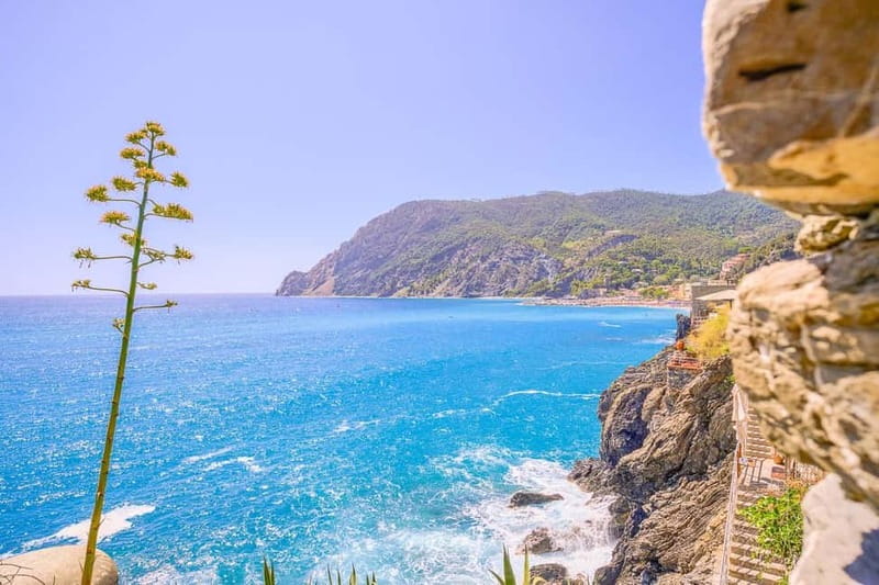 From Milan:Cinque Terre National Park with Limoncino Tasting - Getting around: coach comfort, train options, and ticket handling