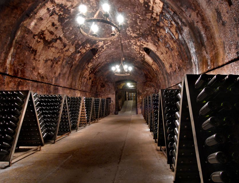 From Milan: Full Day in Franciacorta. 2 Wineries & Lunch - Stop 2 in Franciacorta: a prestigious historic winery and a second style check