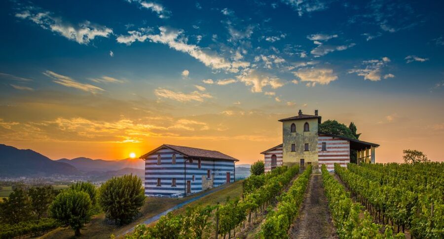 From Milan: Full Day in Franciacorta. 2 Wineries & Lunch - Stop 1 in Franciacorta: terroir, historic aging cellars, and first tastings
