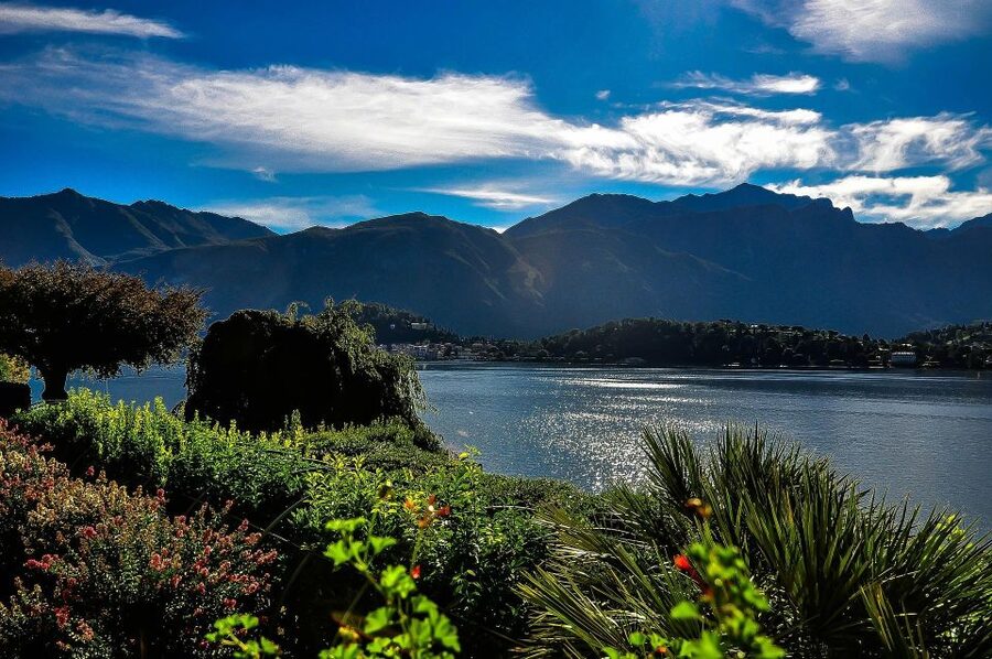 From Milan: Lake Como Day Trip Bellagio and Villa Carlotta - Meeting Point at Milan Central, and How to Start Smoothly
