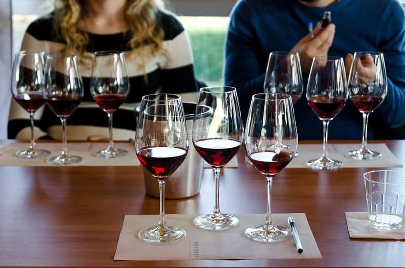From Milan: Langhe Wine Region Day Trip with Barolo Tasting - Town Time in Alba: Medieval Streets and Market Energy