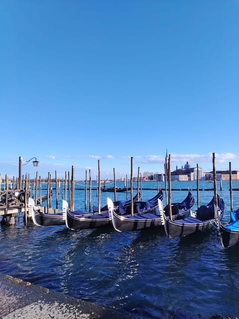 From Milan: Venice City Highlights Guided Day Trip - Milan to Venice in one day: bus ride plus lagoon boat views