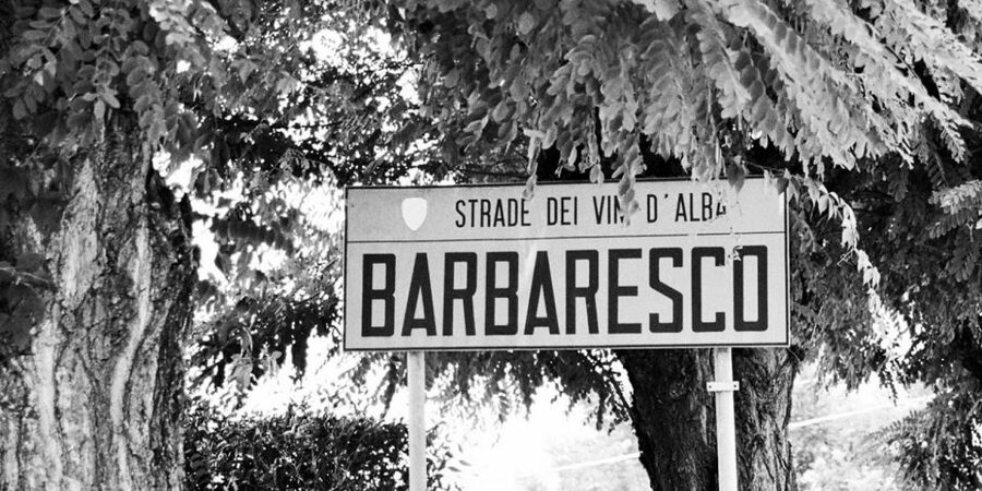 Full-Day Barbaresco Wine Tour with Truffle Hunting and Lunch - Key things you’ll enjoy most on this Piedmont day