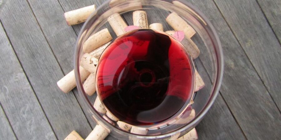 Full-Day Barbaresco Wine Tour with Truffle Hunting and Lunch - Private transport from Turin, and why that matters for value