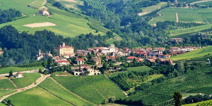 Full-Day Barbaresco Wine Tour with Truffle Hunting and Lunch - Touring a Barbaresco DOCG winery, from noble roots to modern production