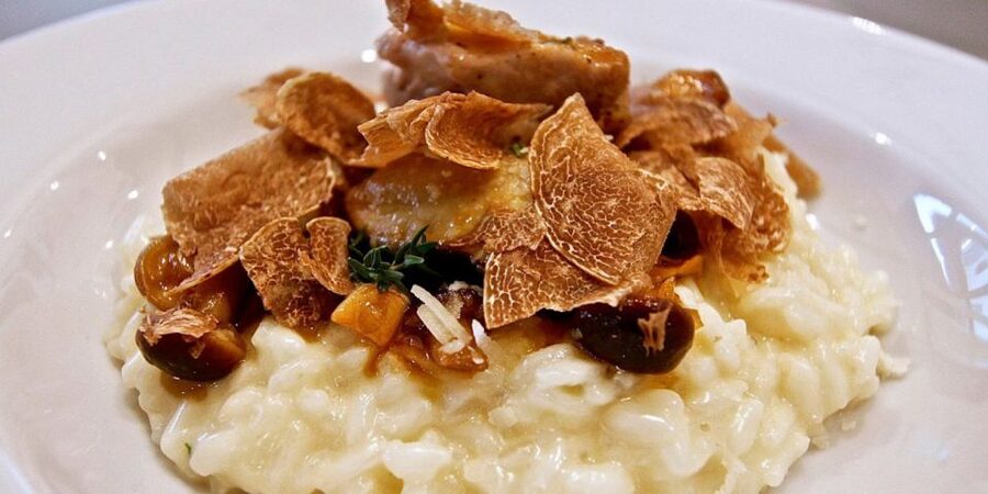 Full-Day Barbaresco Wine Tour with Truffle Hunting and Lunch - Who should book this Barbaresco and truffle day