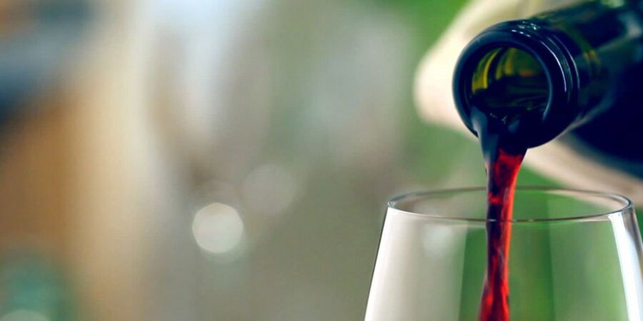 Full-Day Barbaresco Wine Tour with Truffle Hunting and Lunch - Truffle hunting near Alba, with expert guidance and dogs