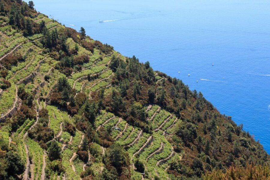 La Spezia: Cinque Terre Guided Hiking Tour - When the plan changes: weather, crowds, and alternative outings