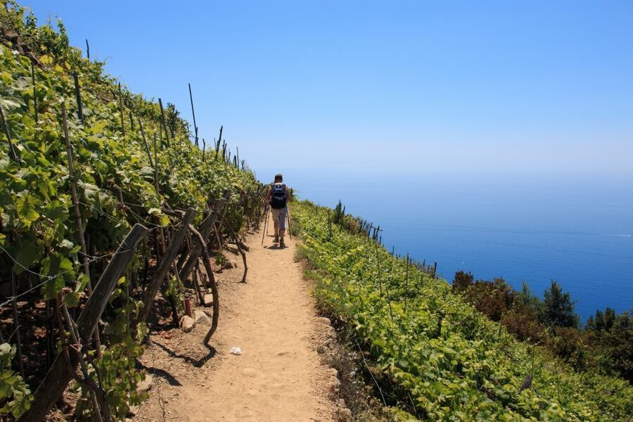 La Spezia: Cinque Terre Guided Hiking Tour - Corniglia: the village perched above the water