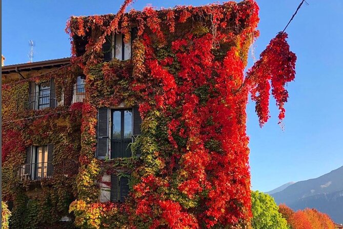 Lake Como & Bellagio Day Trip with Private Boat Cruise - Villa Carlotta, Villa del Balbianello, and Isola Comacina: three stops that change the feel of the lake