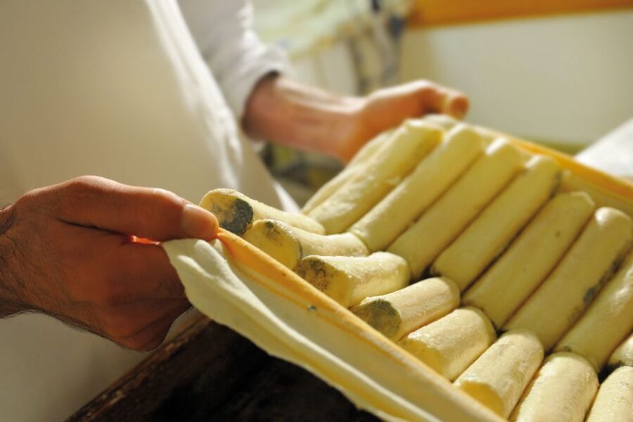 Lake Como: Cheese Factory Tour and Tasting in Valsassina - Carozzi Formaggi in Valsassina, a nature-surrounded stop near Lake Como