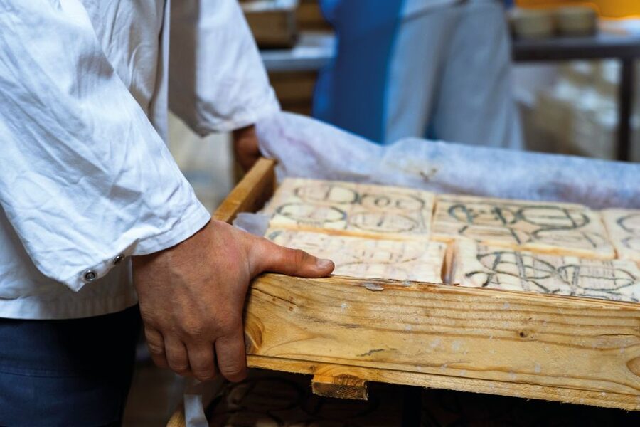 Lake Como: Cheese Factory Tour and Tasting in Valsassina - Practical tips so your visit stays easy