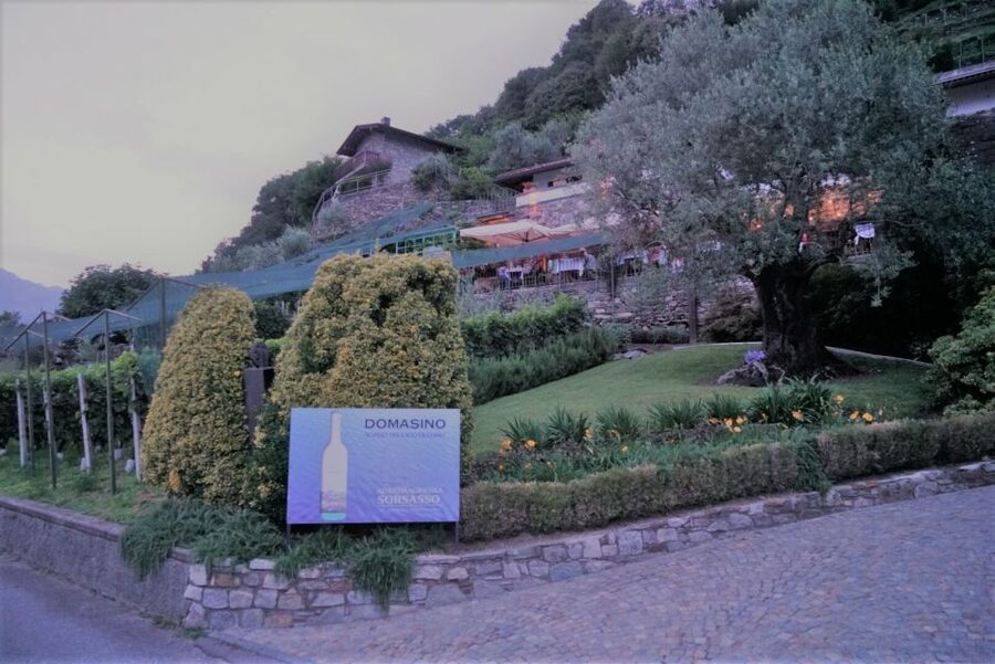 Lake Como: Winery Tour with Wine Tasting - Vineyard and cellar tour: how wine gets made and aged