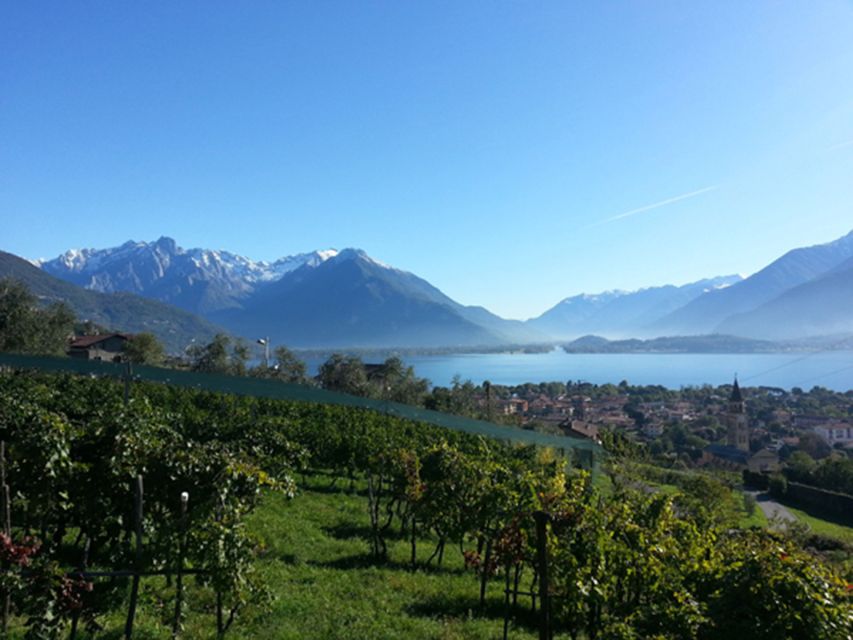 Lake Como: Winery Tour with Wine Tasting - The tasting terrace: 3 wines, local pairings, and bread that changes the experience