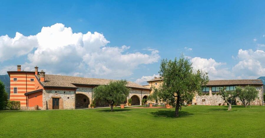 Lake Garda: Garda Hills Wine Tour and Tasting - A hillside estate that makes wine feel local, not formal