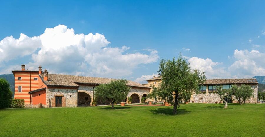 Lake Garda: Garda Hills Wine Tour and Tasting - Inside the winery: new and aging cellars explained