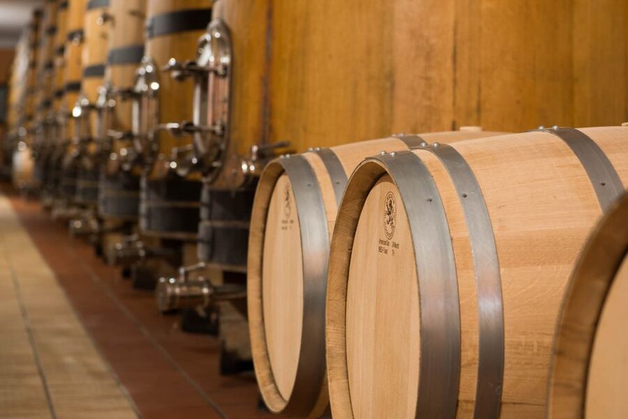 Lake Garda: Garda Hills Wine Tour and Tasting - The tasting table: 4 estate wines plus local food that actually works