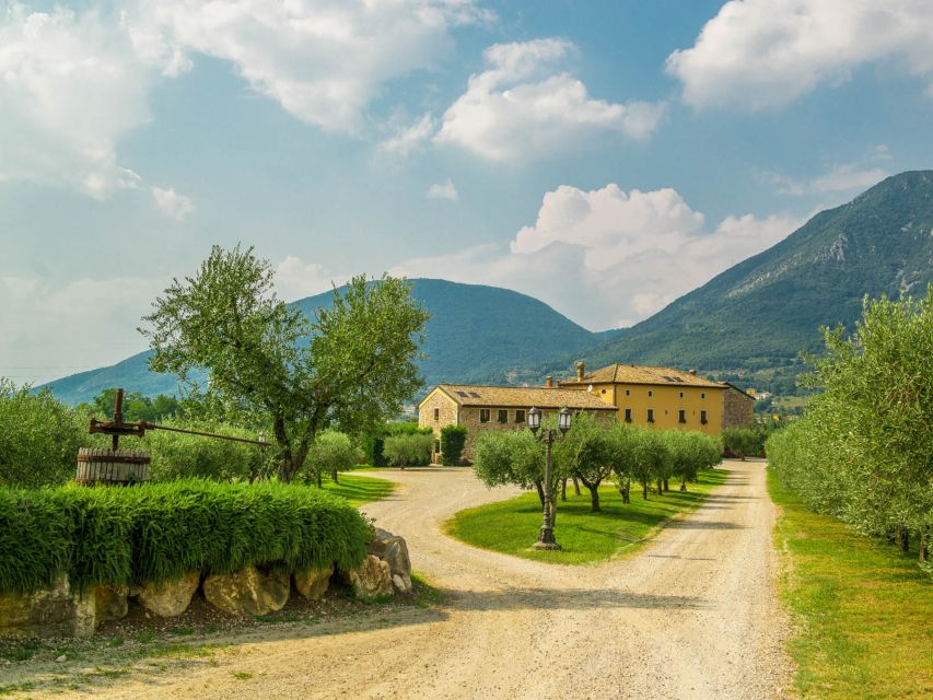 Lake Garda: Garda Hills Wine Tour and Tasting - Practical tips so you enjoy the tasting more
