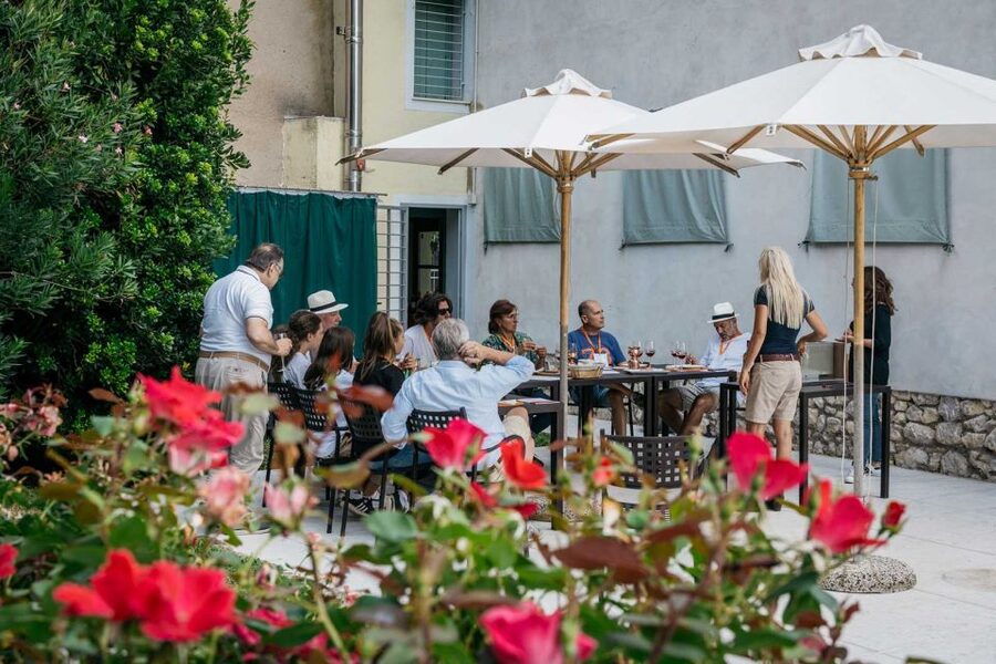 Lake Garda: Vineyard Tour and 6 wine Tasting - Quick Notes Before You Go