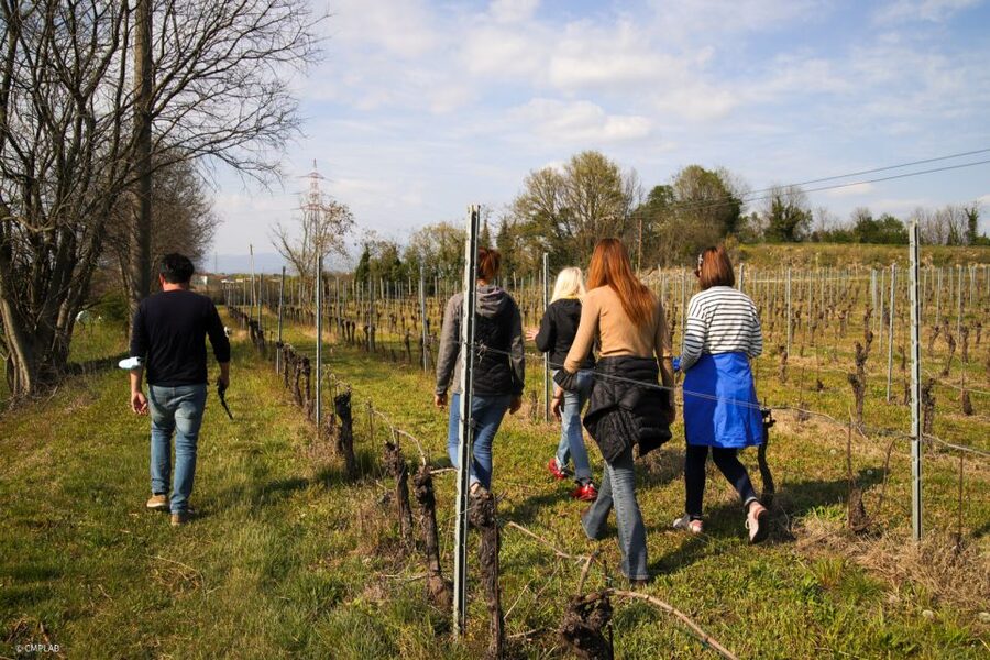 Lake Garda: Vineyard Tour and 6 wine Tasting - Ettore and Greta: Two Signature Wines With Wood Aging and Big Character