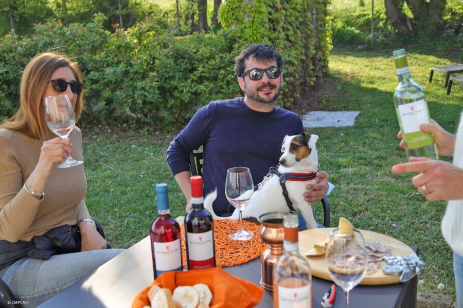 Lake Garda: Vineyard Tour and 6 wine Tasting - Pairings: Cold Cuts and Local Cheeses That Keep You Honest