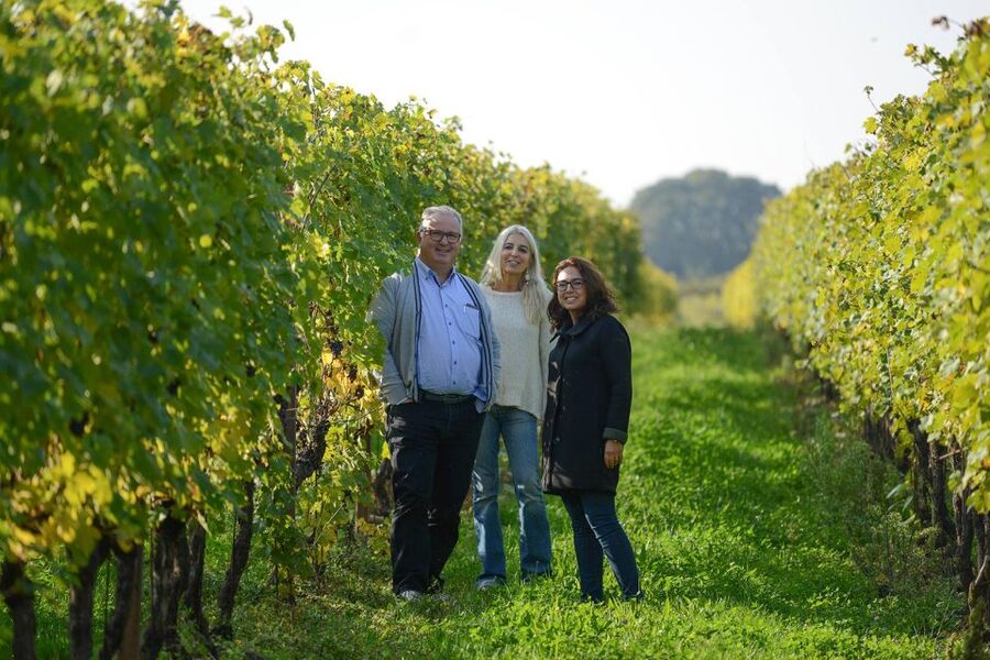 Lake Garda: Vineyard Tour and 6 wine Tasting - Who Should Book This Tour (and Who Might Prefer Something Else)?