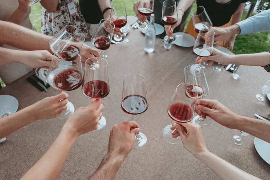 Lake Garda: Vineyard Tour and Tasting on the Hills - Vineyard Time: Pergola Vines, Local Grapes, and Organic Farming You Can See