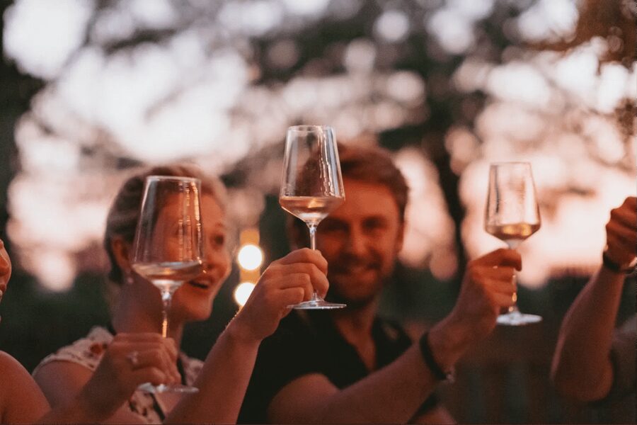 Lake Garda: Vineyard Tour and Tasting on the Hills - The Cellar Tour in About 20 Minutes, From Harvest to Bottling