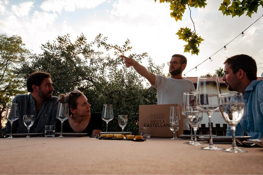 Lake Garda: Vineyard Tour and Tasting on the Hills - Who This Tour Fits Best (and Who Might Want a Different Plan)