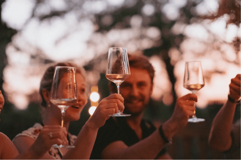 Lake Garda: Vineyard Tour and Tasting on the Hills - Practical Notes That Help Your Day Go Smoothly