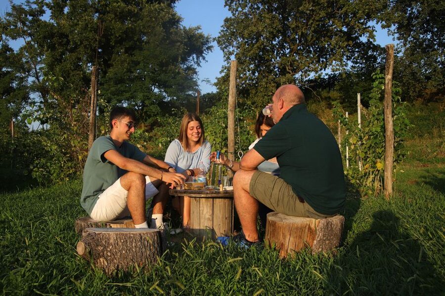 Lazise: Beekeeping Farm Tour and Tasting Experience - Key things you will notice on this Lazise beekeeping tour