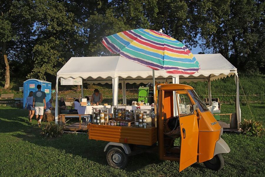 Lazise: Beekeeping Farm Tour and Tasting Experience - The hive visit: sounds, scent, and a real farm explanation