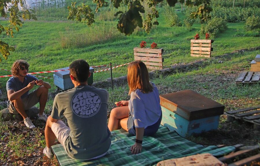 Lazise: Beekeeping Farm Tour and Tasting Experience - What you taste: three Lazise honey samples plus farm fruit jam