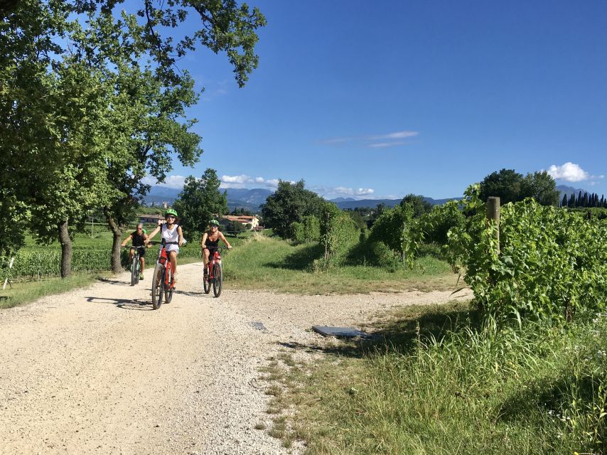 Lazise: Bike Tour and Wine Tasting - Key things that make this tour worth your time