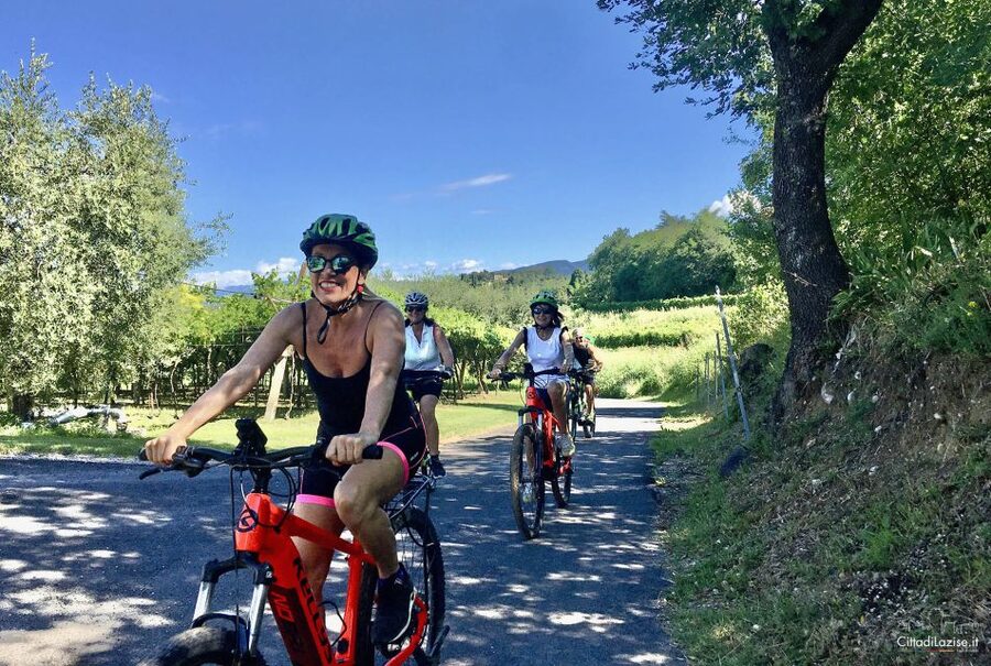 Lazise: Bike Tour and Wine Tasting - E-bikes and the Lazise area, a smart match for most people