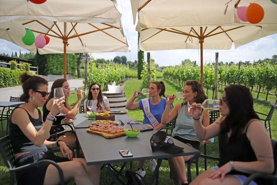 Lazise: Bike Tour and Wine Tasting - The first part of the ride: vineyards, olive groves, and Lake Garda views