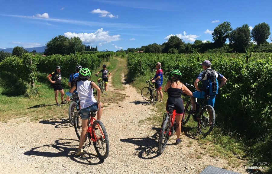 Lazise: Bike Tour and Wine Tasting - Meeting at Le Ginestre Winery in Lazise, and what to do before you ride