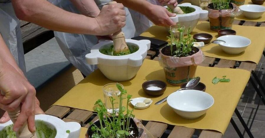 Manarola: Authentic Pesto Making Class at Cinque Terre - The Basil, Pine Nuts, and Marble Mortar part you will remember