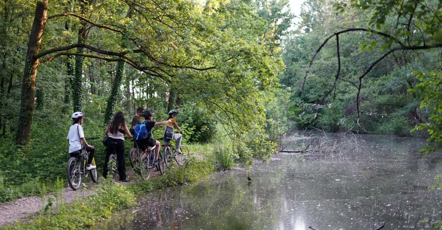 Milan: Bike Tour with Picnic on the turtle lake - Key highlights to plan around