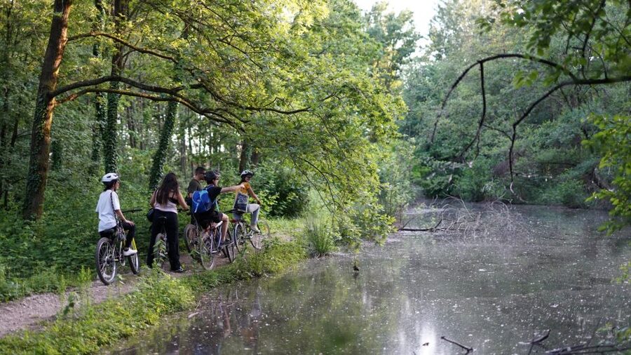 Milan: Bike Tour with Picnic on the turtle lake - Boscoincittà: The Main Break With Aperitif, Beer, and Picnic Time