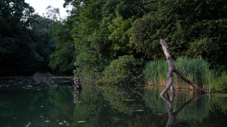 Milan: Bike Tour with Picnic on the turtle lake - Parco Aldo Aniasi: A Short Second Sunset Window for More Golden Hour