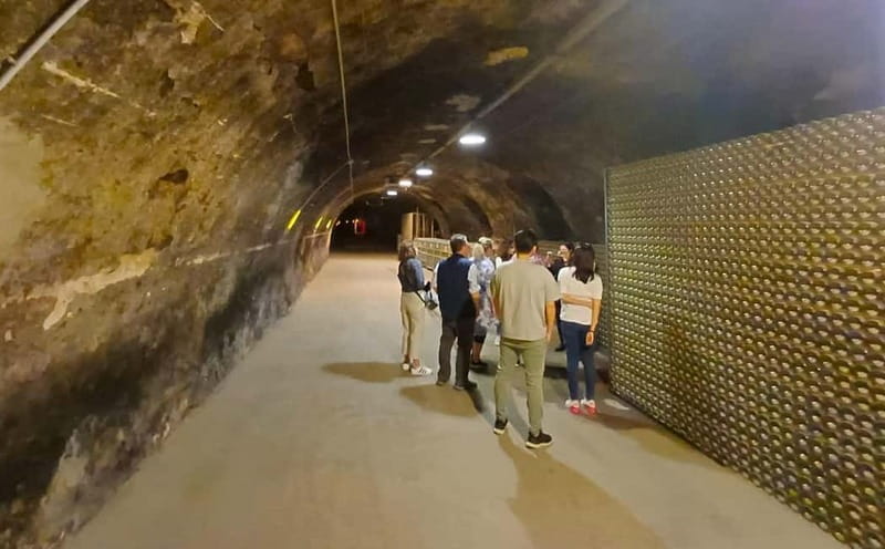 Milan: Brescia & Franciacorta with Wine Tasting Small Group - Your Tastings: Two Traditional Franciacorta Sparkling Wines With Snacks