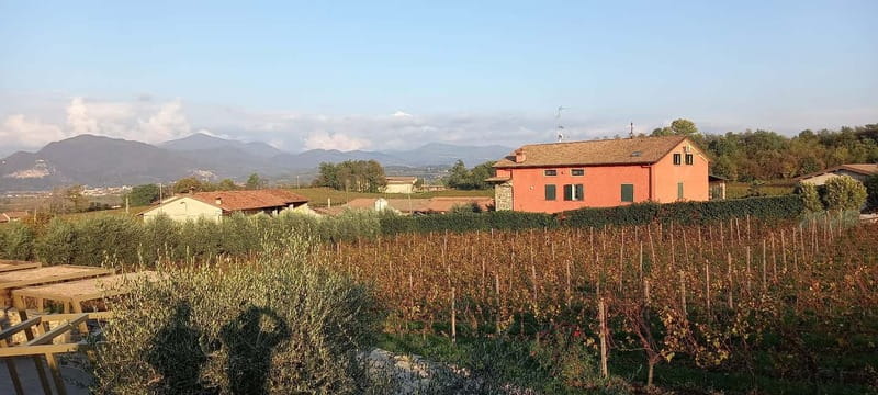 Milan: Brescia & Franciacorta with Wine Tasting Small Group - Who Should Book This Tour (And Who Might Skip It)