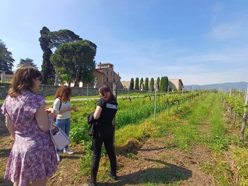 Milan: Brescia & Franciacorta with Wine Tasting Small Group - Starting At Excelsior Hotel Gallia, Then Rolling Out To Wine Country