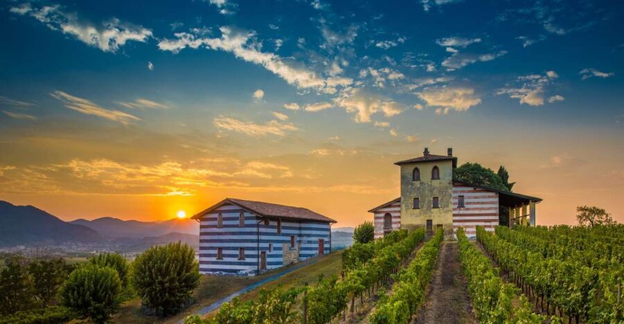Milan: Franciacorta Winery and Bergamo Day Trip with Lunch - Who this day trip suits best (and who should skip it)